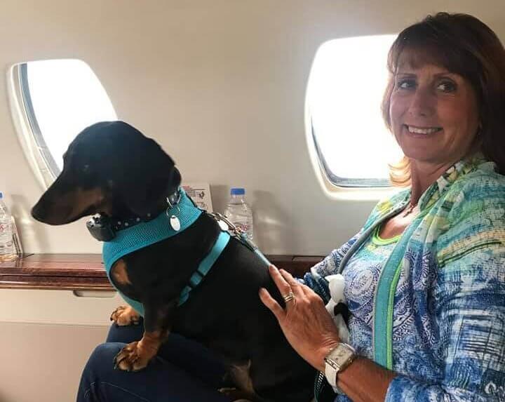 Charter-a ltd private jet dog