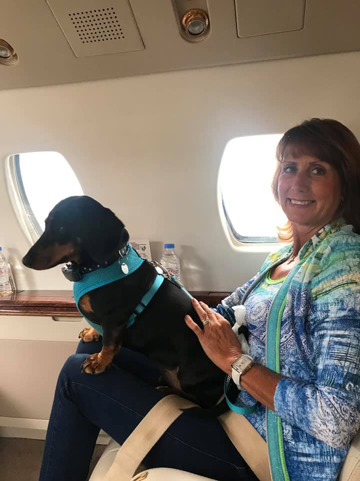 Dog on board private jet